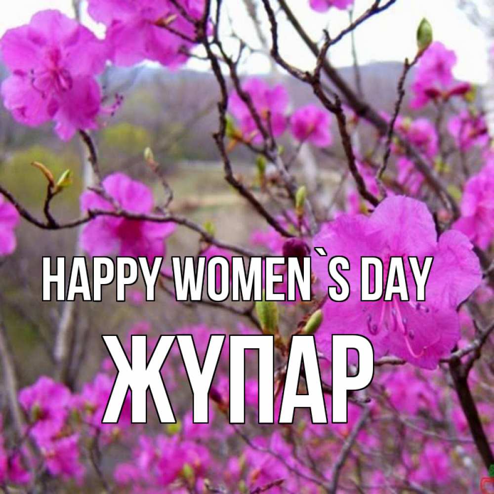 Greetings card с именем, ЖҮПАР happy women`s day международный женский день Greetings with text for free download 